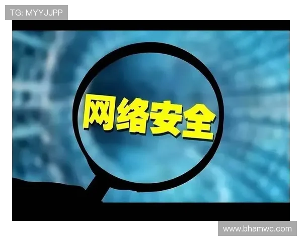 如何选择靠谱的真人视讯网站，保障个人信息安全和资金安全的方法